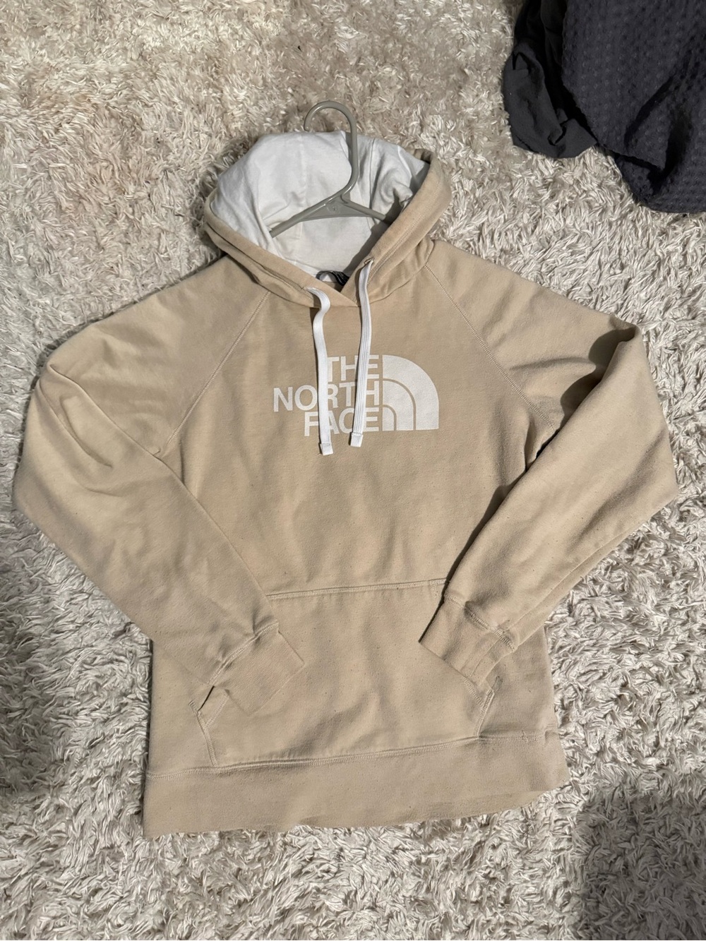 THE NORTH FACE HOODIE